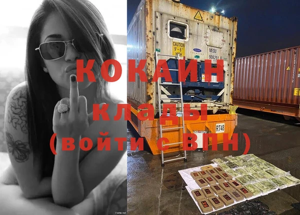 ПСИЛОЦИБИНОВЫЕ ГРИБЫ Заволжье
