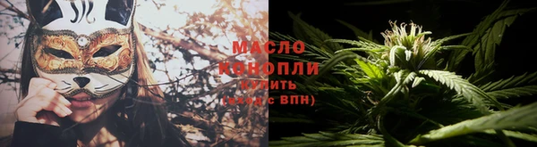 сатива Кущёвская