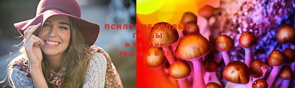 2c-b Заводоуковск