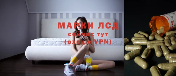 ПСИЛОЦИБИНОВЫЕ ГРИБЫ Заволжье
