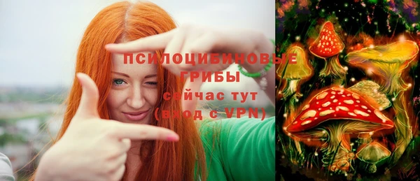 2c-b Заводоуковск