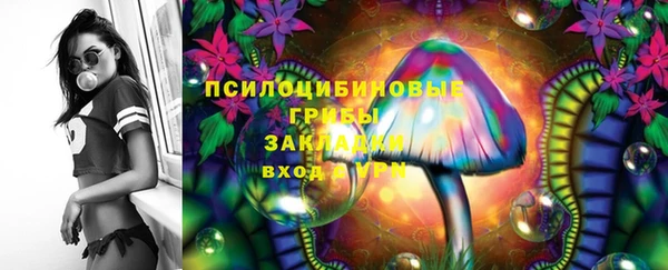 2c-b Заводоуковск