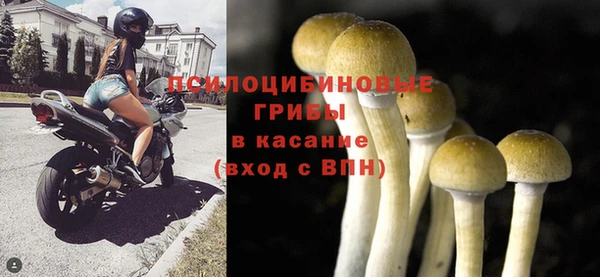 МДПВ Заволжск