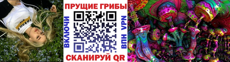 MEGA вход  Сасово  Галлюциногенные грибы Psilocybine cubensis 